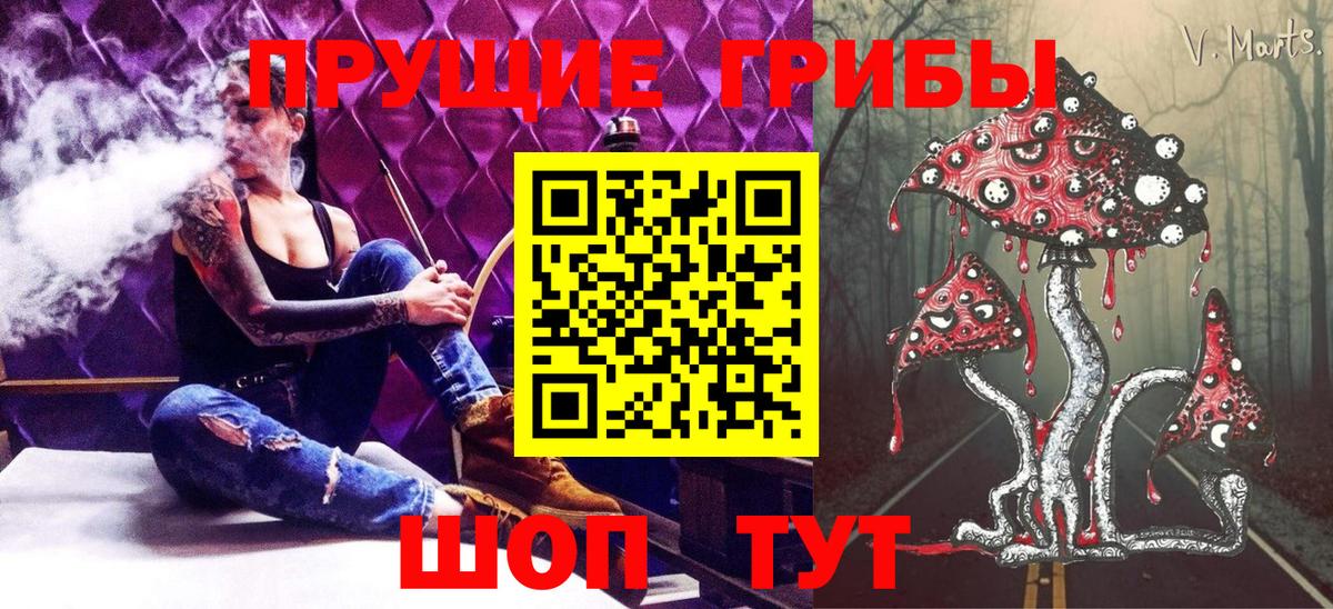 Санкт-Петербург  Галлюциногенные грибы GOLDEN TEACHER  Вход с VPN 