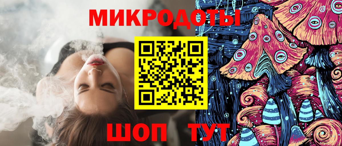 Галлюциногенные грибы Psilocybine cubensis Санкт-Петербург